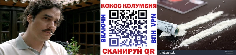 Cocaine Fish Scale  Купить закладки  Зеленодольск 