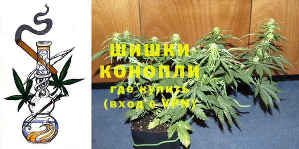 Альфа ПВП Мегион
